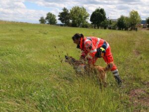 12 Mensch-Hund Teams waren im Einsatz Foto: Jessica Rohrbach / Johanniter