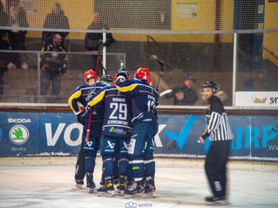 In einem lange umkämpften Spiel treten die Mighty Dogs die Heimfahrt aus Dorfen mit 3 Punkten im Gepäck an. Foto: MD