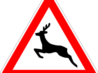 Wildwechsel
