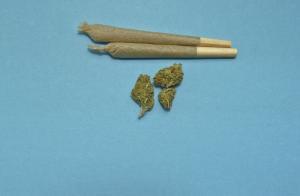 Cannabis