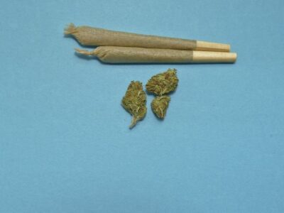 Cannabis