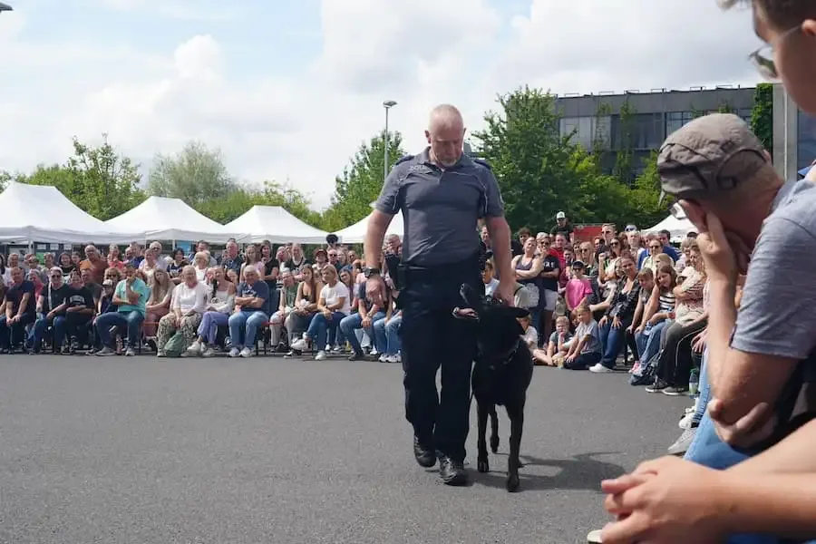 Hundervorführung des Zollamtes in Schweinfurt. Hier sieht man einen Hundeführer mit seinem Hund