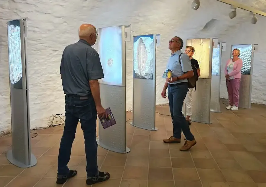 Magische Fossilien im Biosphärenreservat Rhön – Fotografische Einblicke in urzeitliche Lebenswelten