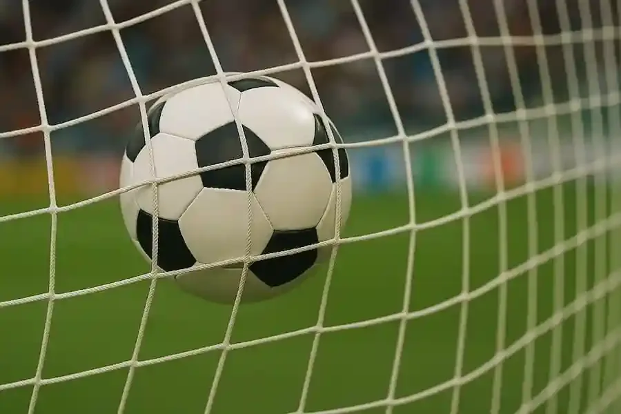 Symbolbild Fußball im Tor – DFB-Pokalspiel Schweinfurt 05 gegen Fortuna Düsseldorf