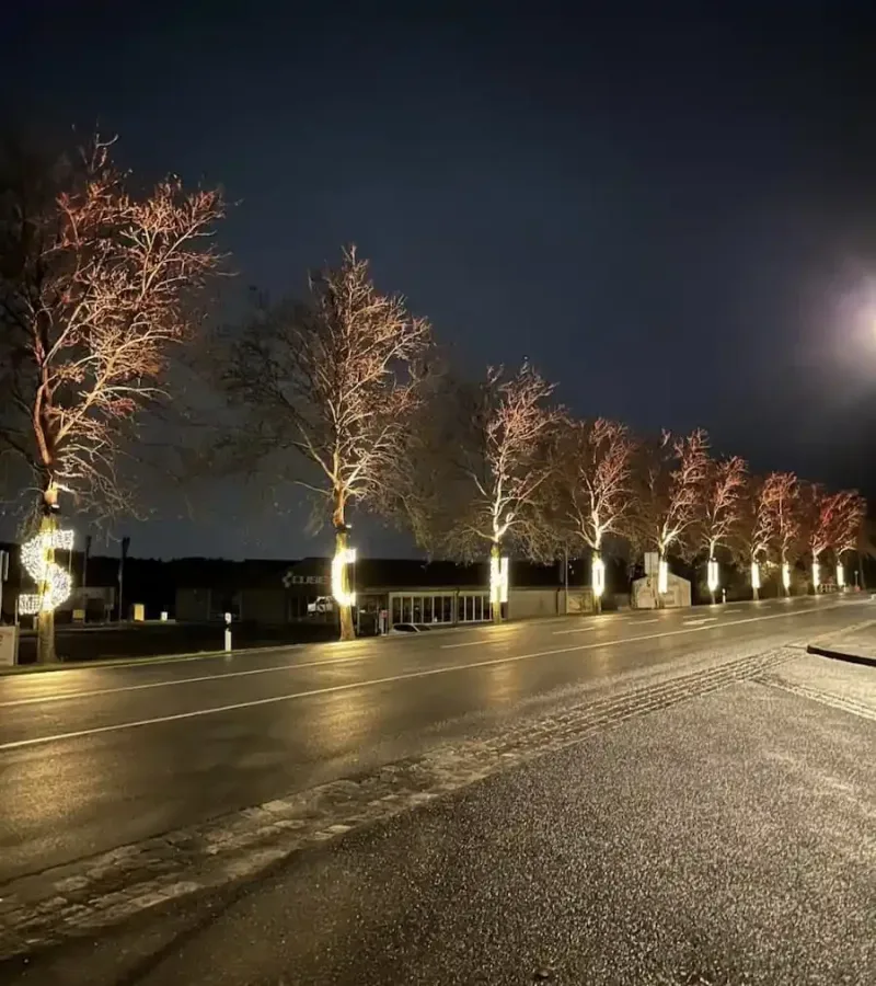 Beleuchtete Bäume entlang der Hauptstraße in Schonungen mit weihnachtlicher Lichtinstallation bei Nacht