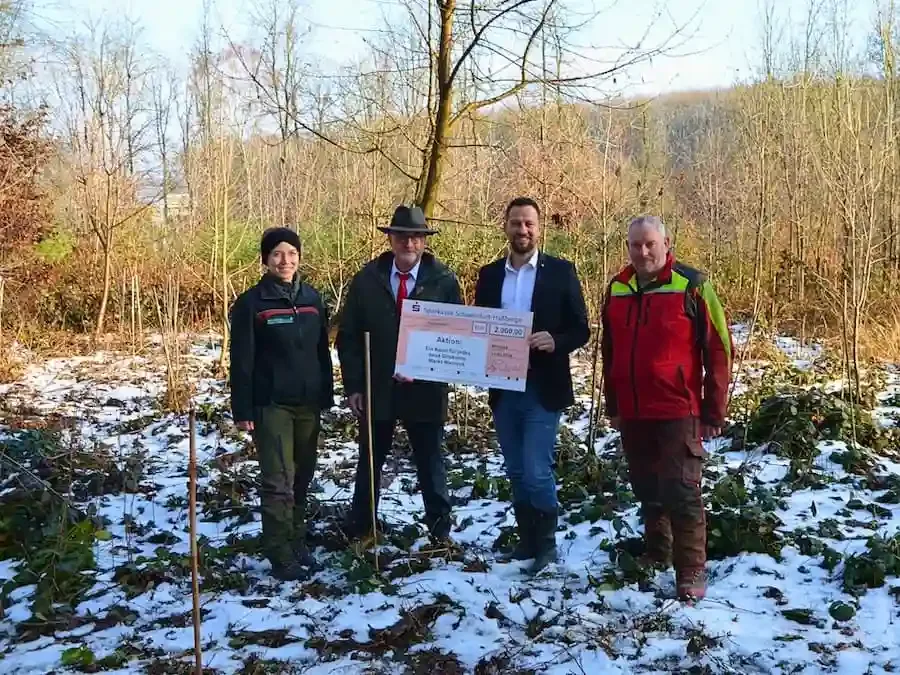 Aufforstungsprojekt im Markt Werneck mit Vertretern der Sparkasse Schweinfurt-Haßberge, der Gemeinde und des Forstreviers.