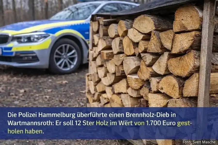 Gestapeltes Brennholz in Wartmannsroth: Polizei Hammelburg klärt Diebstahl von 12 Ster Holz im Wert von 1.700 Euro auf.