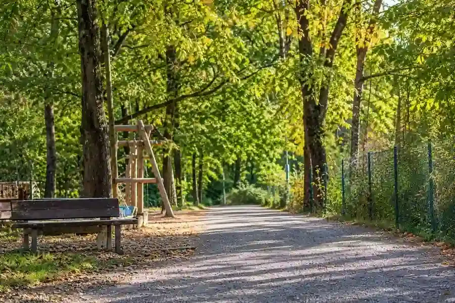 Symbolbild eines menschenleeren Waldweges mit Parkbank und Spielplatz. Die Polizei Schweinfurt sucht nach einer mutmaßlichen sexuellen Belästigung am Fichtenwäldle Zeugen.