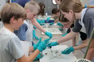 Nicht zu viel und nicht zu wenig Harz auftragen – beim THWS-Ferienprogramm konnten Jugendliche unter anderem erste Erfahrungen mit der Kunststofftechnik machen (Foto: THWS/Eva Kaupp)