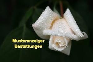 Muster Bestattungen 2
