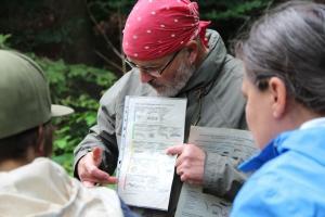 Gemeinsam kartierten die Junior Ranger unter anderem Kleinlebewesen im Bach. / Fotos: Lea Hohmann