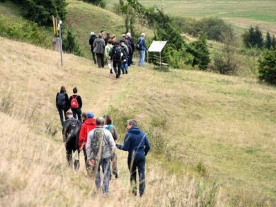 Die ZNL führen Einheimische und Touristen durch die einzigartige Landschaft und setzen individuelle thematische Schwerpunkte. / Foto: Lea Hohmann