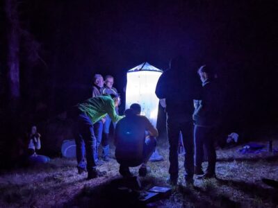 Die Teilnehmenden der Exkursion gemeinsam mit Oskar Jungklaus beim Bestimmen der Nachtfalter am „Leuchtturm“. / Foto: Tina Bauer