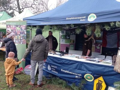 Der Stand der Rhöner Biosphärenranger auf dem „Weihnachtsmarkt Natur“ in Würzburg. / Foto: Maik Prozeller