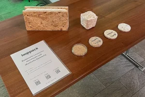 Der Prototyp von Looppack (Foto: Patrick Grimmeisen)