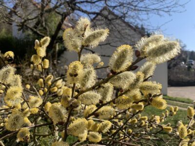 Foto: BUND Naturschutz in Bayern e.V.