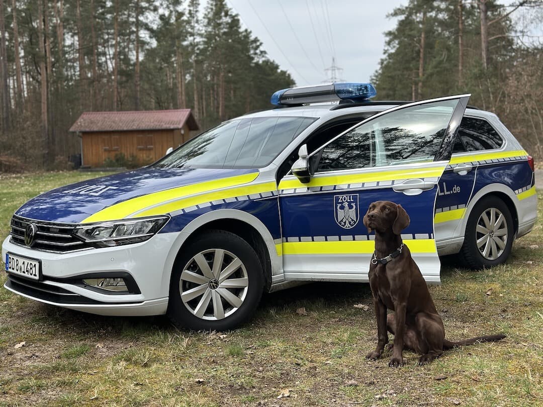 Auch unsere Zollhunde zeigen ihr Können